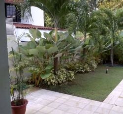 Coronation Road (D10), Detached #568102691